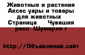 Животные и растения Аксесcуары и товары для животных - Страница 3 . Чувашия респ.,Шумерля г.